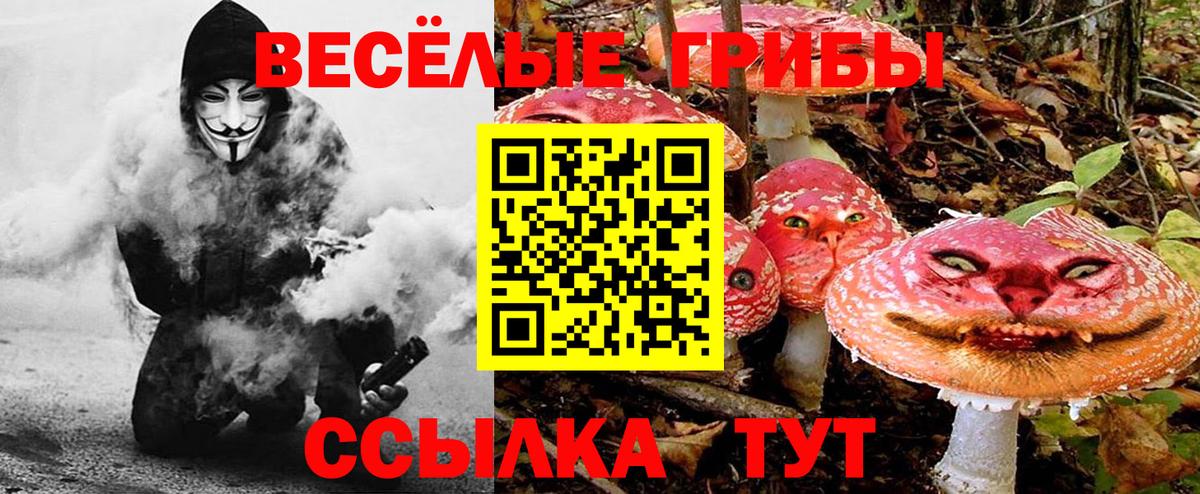 Псилоцибиновые грибы Psilocybe  Псилоцибиновые грибы мицелий  Вход с VPN  Иваново 