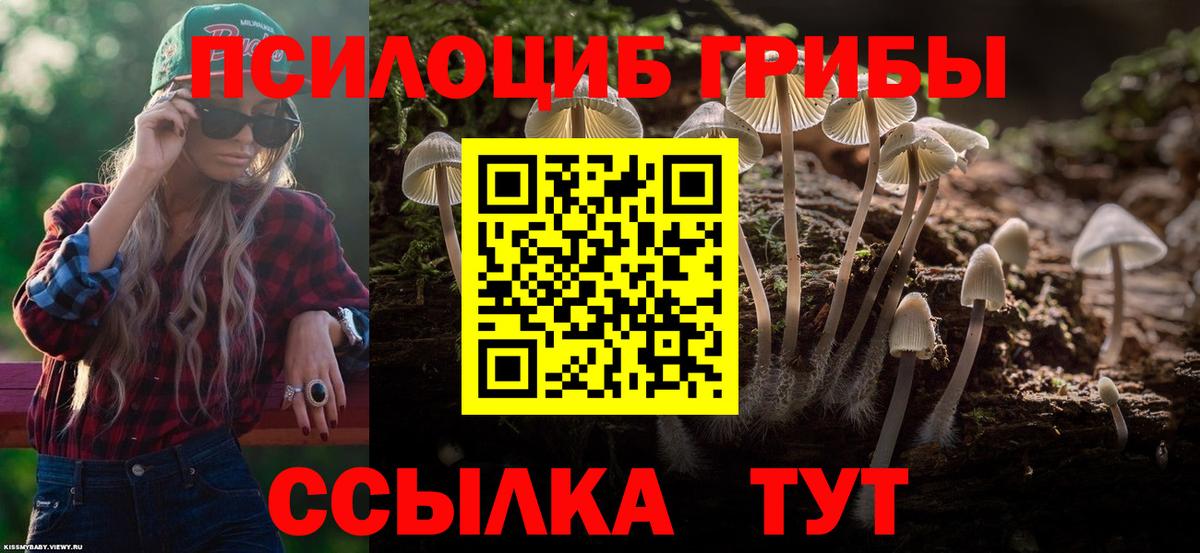 Псилоцибиновые грибы Psilocybine cubensis Иваново